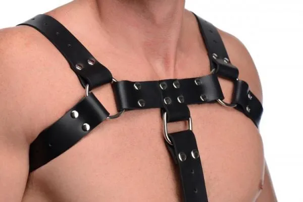 Strict Leather Female Sex Toys English Bull Dog Harness With Cock Strap Black Strict Leather Female Sex Toys English Bull Dog Harness With Cock Strap Black