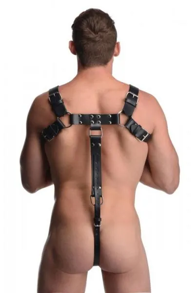 Strict Leather Female Sex Toys English Bull Dog Harness With Cock Strap Black Strict Leather Female Sex Toys English Bull Dog Harness With Cock Strap Black